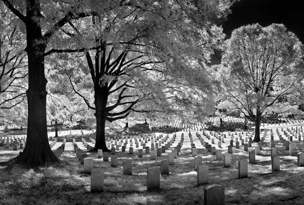 arlington-cemetery-615