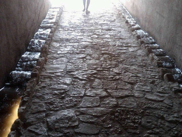 5520_534516028787_3862230_n